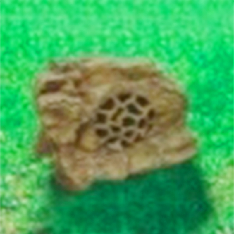 25W  防真石头   ES-208