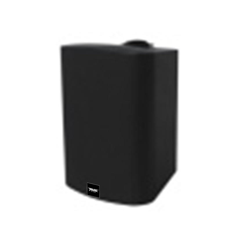 塑料有源音箱(15W)    T1819